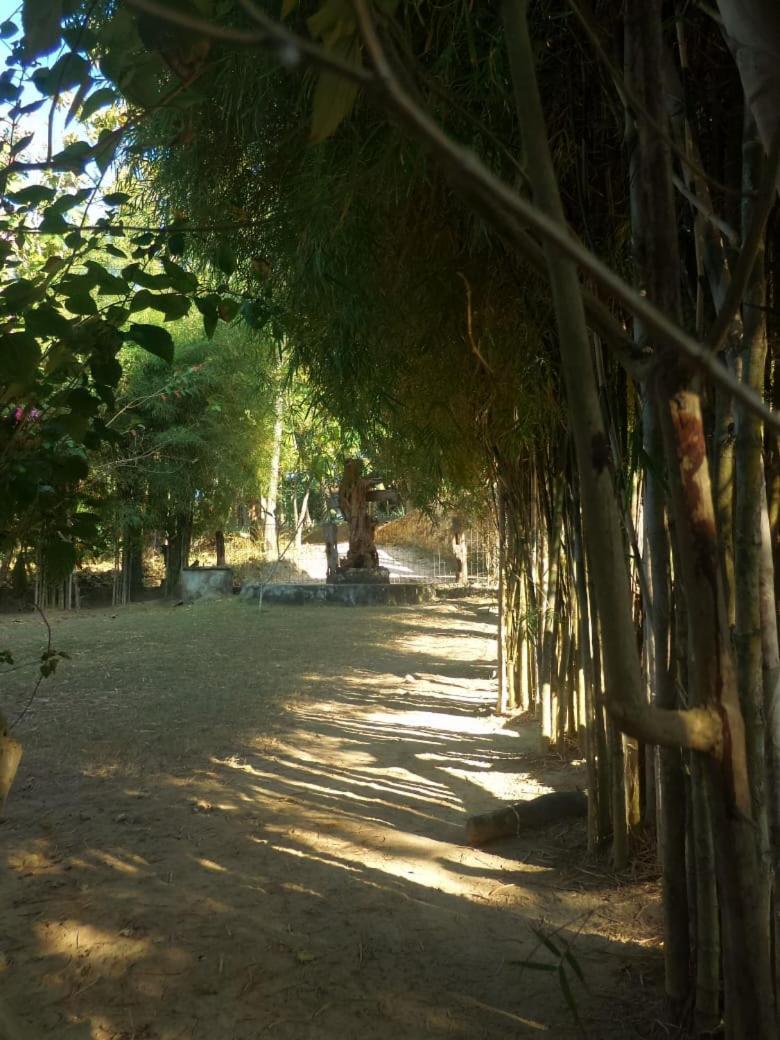 Ary'S Lagoon Bungalow & Hotel Karimunjawa Εξωτερικό φωτογραφία
